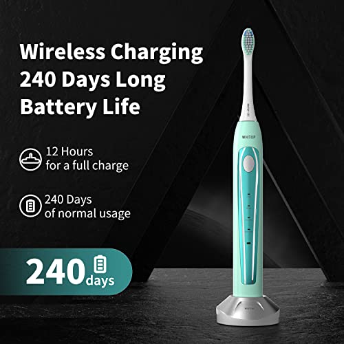 CD-06 Sonic Electric Toothbrush