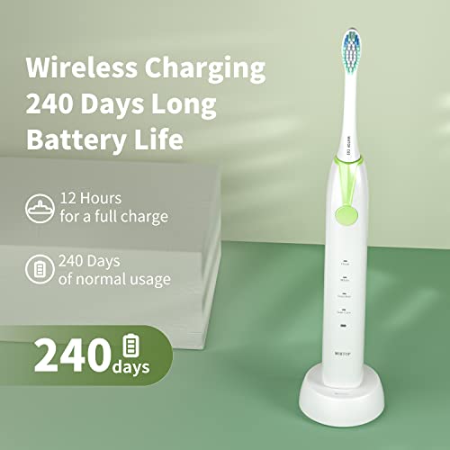 CD-07 Sonic Electric Toothbrush