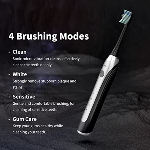 CD-01 Sonic Electric Toothbrush