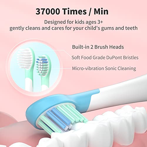 ED05 Kids Electric Toothbrush – WHITOP