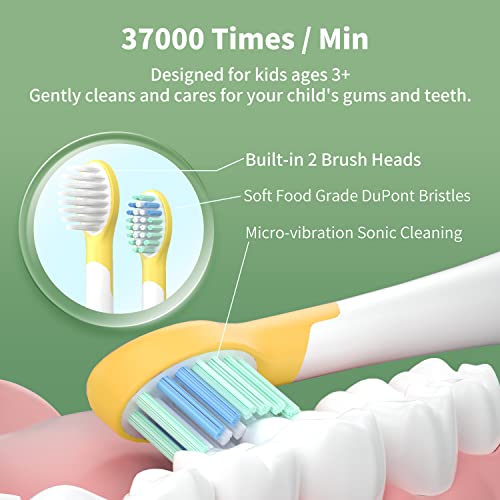 ED03 Kids Electric Toothbrush – WHITOP