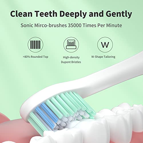 CD-14 Sonic Electric Toothbrush – WHITOP CD-14 Sonic Electric Toothbrush – WHITOP