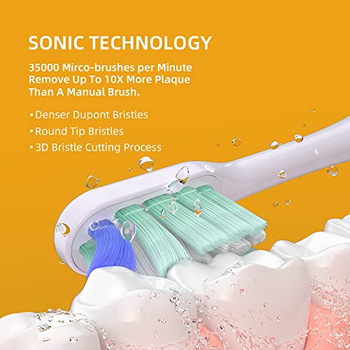 CD-11 Sonic Electric Toothbrush