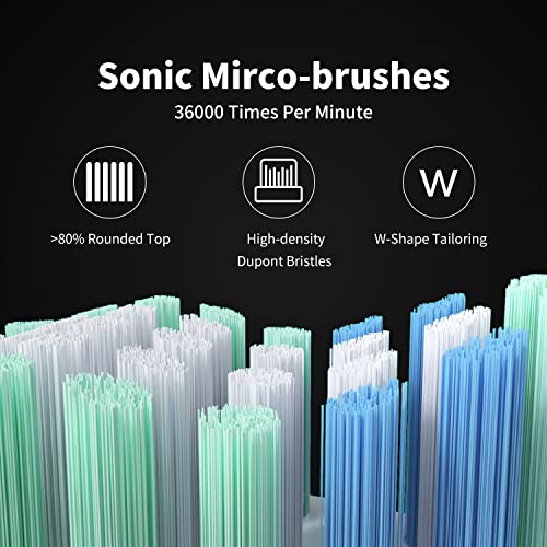 CD-01 Sonic Electric Toothbrush