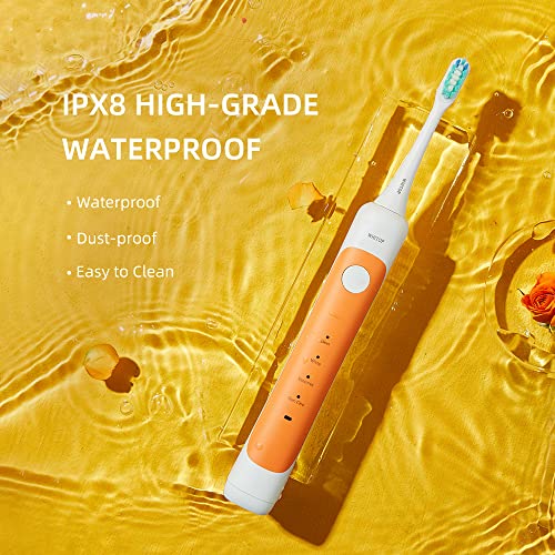 CD-11 Sonic Electric Toothbrush