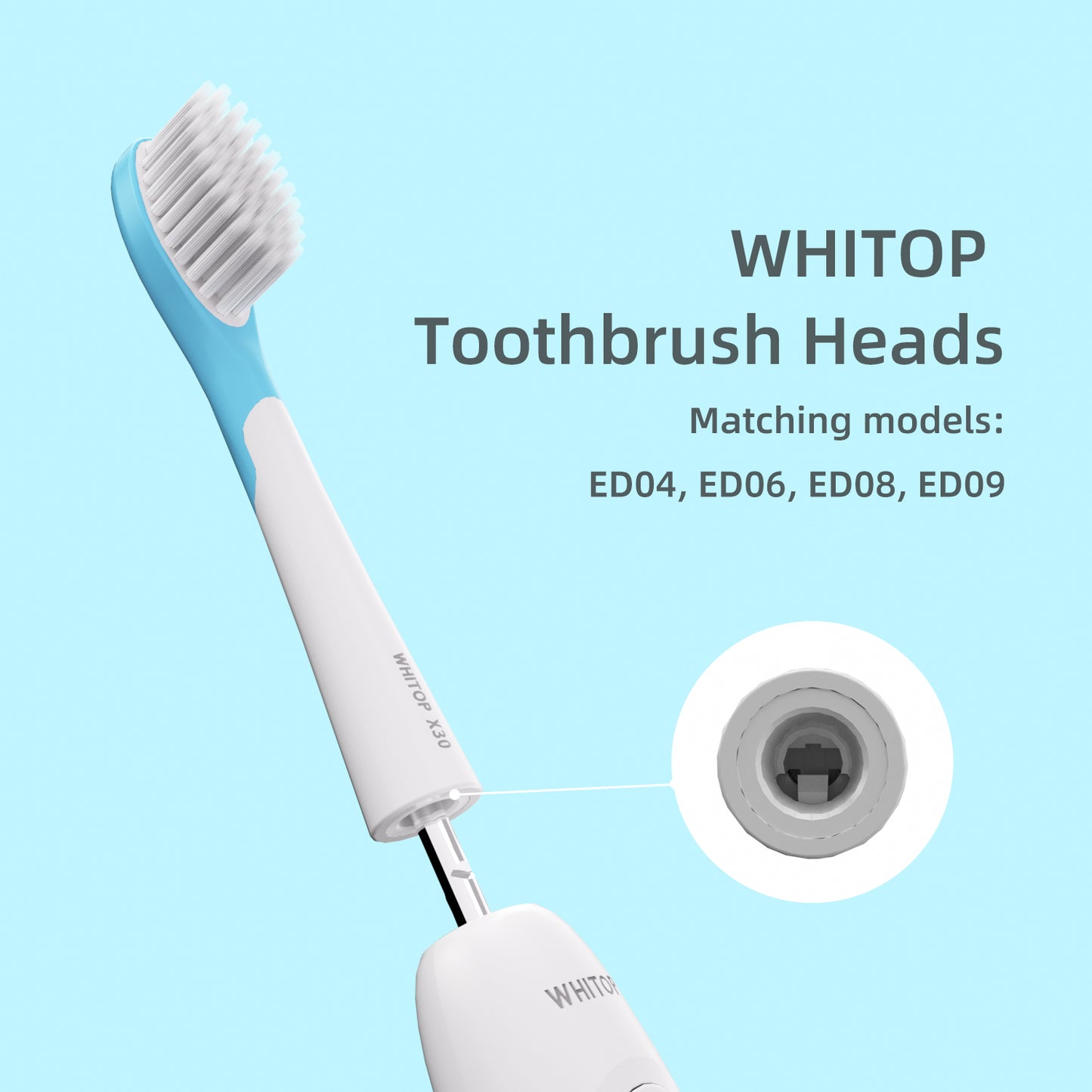 Brush Heads for Teenagers ED04, ED06, ED08, ED09. （Please note whether the model name is the same as your old model before placing an order.）