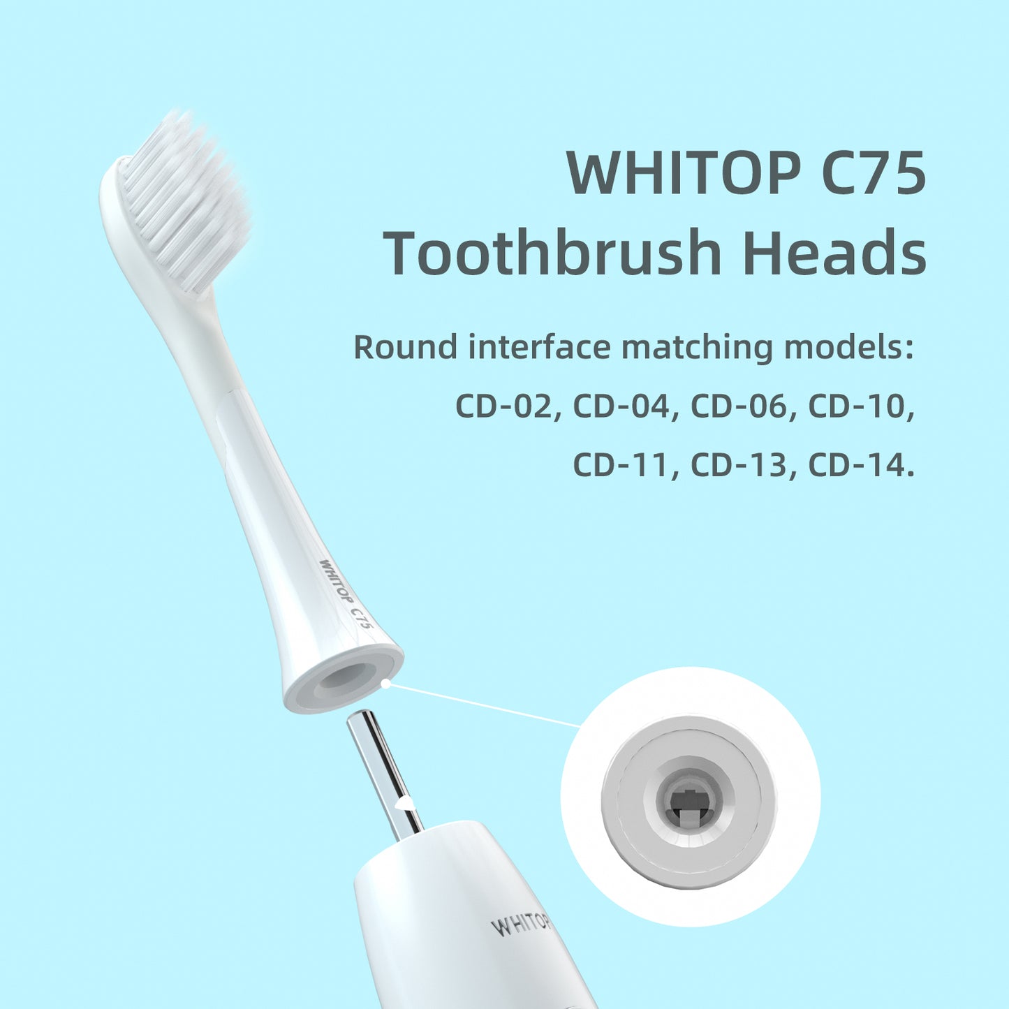 Brush Heads for CD-02, CD-04, CD-06, CD-10, CD-11, CD-13, CD-14, Round Interface. （Please note whether the model name is the same as your old model before placing an order.）